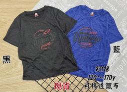 新竹金奇童裝男童120-170大童速乾運動短褲大童夏季短褲9750 歷史價格詳細信息