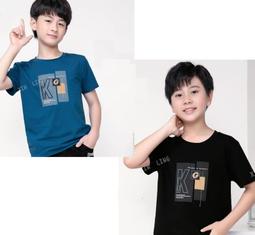 新竹金奇童裝大男童夏天上衣130-170大男童短袖上衣T恤818127 歷史價格詳細信息