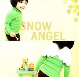 ($80出清) 棒壘 Louisville Slugger 路易斯威爾 LS 5吋護腕帶(LB15904-單支裝) 歷史價格詳細信息