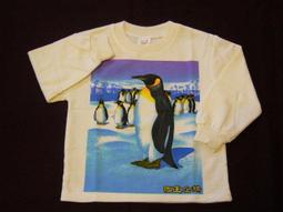 韓製 Ibanez 型 改裝用 雙單雙 電吉他 護板 一般顏色賣場 【樂器零件王】 歷史價格詳細信息