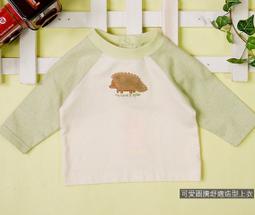 【Mini  Young】龍博士魔術金字塔 益智玩具 桌遊 歷史價格詳細信息