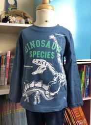 恐龍骨頭一組, 照片實拍（ 客廳玻璃櫃） 歷史價格詳細信息