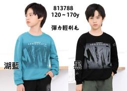 新竹金奇童裝大男童帽T秋冬長袖上衣120-170大男童秋冬上衣T恤813797 歷史價格詳細信息