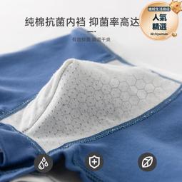 男童內褲兒童純棉A類四角褲卡通男孩中大童小孩寶全棉四角短褲 歷史價格詳細信息