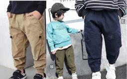 【全館免運】帥健引體向上器家用多功能單雙槓架體育用品單槓家用室內健身器材 歷史價格詳細信息