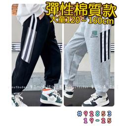 【現貨】???? 冬季新款 輕刷毛字母印花長袖上衣 保暖 長袖 上衣 刷毛 男童 大童 童裝 百元童裝 平價童裝 小不點童裝 歷史價格詳細信息