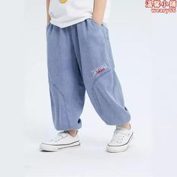 兒童褲子夏季薄款男童冰絲速乾短褲中大童運動五分褲女童五分沙灘褲 歷史價格詳細信息