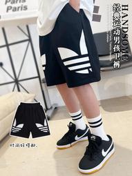 童裝男童褲子兒童夏裝薄款長褲寶寶春裝休閒褲中大童春秋潮褲夏款 歷史價格詳細信息