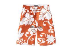 [美國娃娃屋] 美國 OLD NAVY 大男童軍綠色直條紋短褲 8T 歷史價格詳細信息