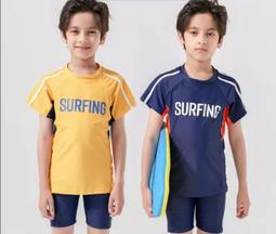 兒童泳衣男童分體中大童青少年男孩冬遊泳衣2024新款泳褲泳裝套裝 歷史價格詳細信息