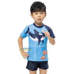 YF泳裝-短袖(有袖)二件式小男童泳衣 中童 防曬 鳳梨 沙灘 游泳【免運送→泳帽】F23809 4.6.8 歷史價格詳細信息
