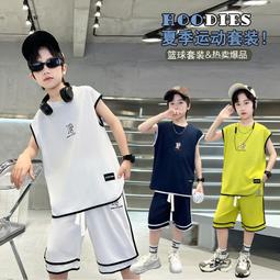 兒童短夏季新款男童運動韓版女童休閑五分夏款童裝批發 歷史價格詳細信息