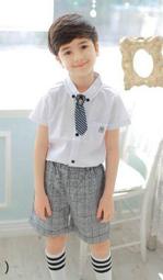 【滿滿】畢奇 蝙蝠貓隱藏 無盒無卡 180 歷史價格詳細信息