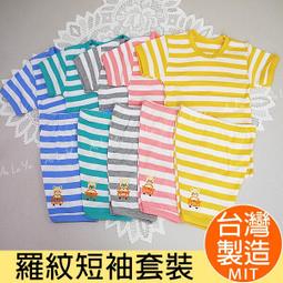 套裝《現貨》台灣製‧三五純棉薄條紋長袖套裝-4色(0-16號)【3102S】艾樂悠 歷史價格詳細信息