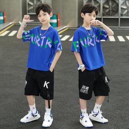 兒童衣服 童裝套裝 夏裝短袖 1歲2歲3歲中小童洋氣衣服 男童寶寶韓版兩件套 T恤 短褲 套裝#哥斯拉之家# 歷史價格詳細信息