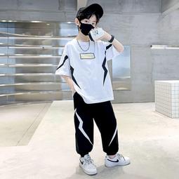 『購物趣』流行爆款時尚百搭石頭紋手提單肩斜跨包包女收納包休閒包外出包旅行包~SF11929 歷史價格詳細信息