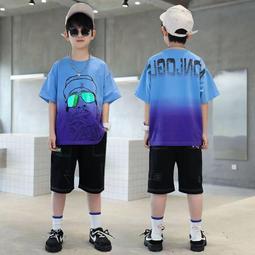 《愛網購》~JD15954~男童衛衣春秋款新款兒童春裝上衣中大童炸街衣服帥氣時髦 歷史價格詳細信息