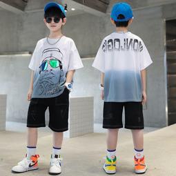 【八號館】中大童短袖套裝帥氣男孩兩件套童裝男童套裝兒童夏季套裝新款．JD15020 歷史價格詳細信息