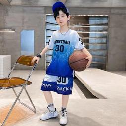 【八號館】中大童短袖套裝帥氣男孩兩件套童裝男童套裝兒童夏季套裝新款．JD15020 歷史價格詳細信息