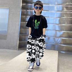 男童夏季短袖套裝洋氣2024新款兒童夏裝兩件套襯衣男孩潮沙灘襯衫 歷史價格詳細信息