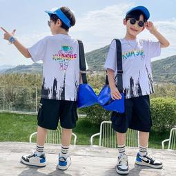 兒童裝男童夏裝套裝24新款小少爺運動兩件套寶寶夏季薄款短袖衣服 歷史價格詳細信息