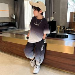 【八號館】童裝男女童條紋春秋新款打底衫秋冬中半高領一體加絨T恤保暖上衣．JD15837 歷史價格詳細信息