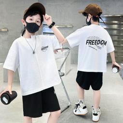 男童夏裝休閒短褲大童2024新款兒童中褲夏季薄款五分褲男孩潮外穿 歷史價格詳細信息