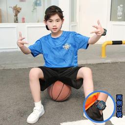 【八號館】童裝男女童條紋春秋新款打底衫秋冬中半高領一體加絨T恤保暖上衣．JD15837 歷史價格詳細信息