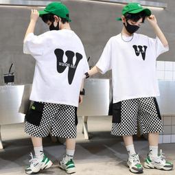 男童春裝 新款潮男寶寶休閒套裝 1-2-3-4-5歲春季長袖兩件套秋款6 歷史價格詳細信息