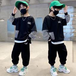 《愛網購》~JD15759~兒童裝男童套裝春款長袖兩件套新款春秋裝中大童洋氣運動裝潮 歷史價格詳細信息