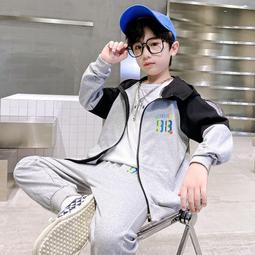 ６９９免運丷秋冬款網紅小包包新款潮流行洋氣質感女包時尚女士斜挎包休閒包收納包單肩包斜背包丷SF05071 歷史價格詳細信息