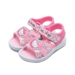 【HELLO KITTY】銀離子犬貓專用潔耳液-單瓶100ML 歷史價格詳細信息