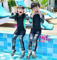 D13.寒天大蔥種子0.88克(約400顆) 歷史價格詳細信息