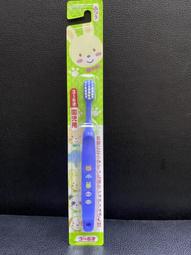 小熊@卡登D52小型相機包 CADEN 微單眼 類單 一機一鏡 手提 側背包 單肩包 單眼相機包 攝影配件 休閒旅遊 歷史價格詳細信息