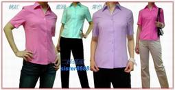 二手 粉紅短袖毛衣 歷史價格詳細信息