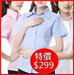 5164b 日本進口 限量品 好品質 可愛柔軟 澳洲 無尾熊 小熊熊動物 絨毛娃娃布偶毛絨絨玩偶抱枕收藏品擺飾禮物 歷史價格詳細信息