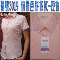 【阿信防皺襯衫】【女-短袖】貨號3040 白底+灰色直條紋-短袖☆腰身設計☆漂亮剪裁☆白底灰色襯衫☆正式女短袖襯衫 歷史價格詳細信息