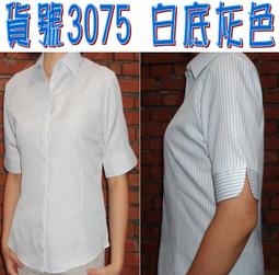 【阿信防皺襯衫】【女五分袖】貨號3087粉紅底粉紅色直條紋 女襯衫 漂亮剪裁 腰身設計 OL 上班 面試 業務  開會 歷史價格詳細信息