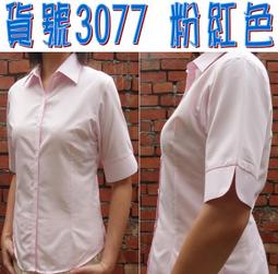 【阿信防皺襯衫】【女五分袖】貨號3087粉紅底粉紅色直條紋 女襯衫 漂亮剪裁 腰身設計 OL 上班 面試 業務  開會 歷史價格詳細信息
