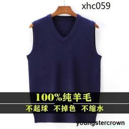 男士秋冬V領毛衣刷毛加厚針織衫男雞心領套頭保暖打底衫男長袖T恤男秋季新款緊身青年男士V領薄款百搭打底衫男秋衣服潮（滿599免運） 歷史價格詳細信息