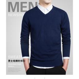 春夏新款男式V領短袖T恤 潮男韓版V領男士V領T恤男裝男性衣服上衣T恤男裝休閒服裝-正正男裝 歷史價格詳細信息
