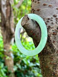 莫西沙冰糖雪梨冰黃翡翠手鐲  55x11x11胖圓條 ，冰潤十足，整圈種水一致，完美無紋裂 歷史價格詳細信息