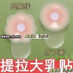 【升級提手款 加厚有彈性】保暖馬桶墊 馬桶墊 保暖墊 馬桶套 馬桶座墊 保暖坐墊 馬桶圈保暖套 HNSAA3 歷史價格詳細信息