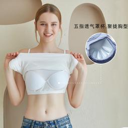 內搭背心 小背心 bra 胸墊背心 短版背心 小可愛內衣 v領 抹胸 文胸 內搭 羅紋 固定杯｜AMICA｜15352 歷史價格詳細信息