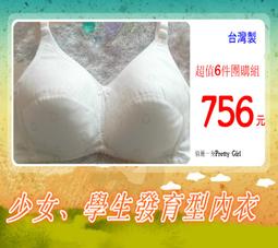 俏麗一身【台灣製】R4919580無鋼圈胸罩學生款少女型婆婆嬤嬤內衣吸汗透氣棉質薄襯柔軟32/34/36/38台灣出貨 歷史價格詳細信息