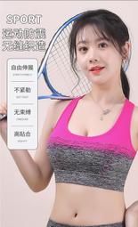 WSB003 8種顏色S-5XL碼數最齊 專業女款 前拉鍊 防震運動 內衣 集中無鋼圈 近乎賠售換貨自付運費 焦點服飾 歷史價格詳細信息