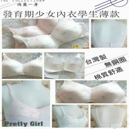 俏麗一身【台灣製】R46900嚴選無鋼圈內衣學生款少女型棉質薄襯吸汗透氣貼身舒適柔軟抗菌32/34/36/38天天出貨 歷史價格詳細信息