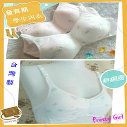 俏麗一身【台灣製】R46900嚴選無鋼圈內衣學生款少女型棉質薄襯吸汗透氣貼身舒適柔軟抗菌32/34/36/38天天出貨 歷史價格詳細信息