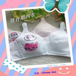 台灣現貨不必等 內衣雙層-動物插畫細網護洗袋 旅行收納袋 防打結衣物袋 洗衣網袋 置物袋【BNA180】收納女王 歷史價格詳細信息