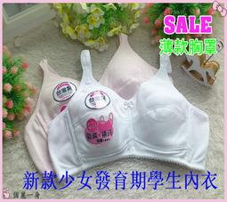 俏麗一身【台灣製】少女學生內衣軟鋼絲均勻襯墊吸汗透氣70/75/80/85(BC罩杯)H3307 歷史價格詳細信息